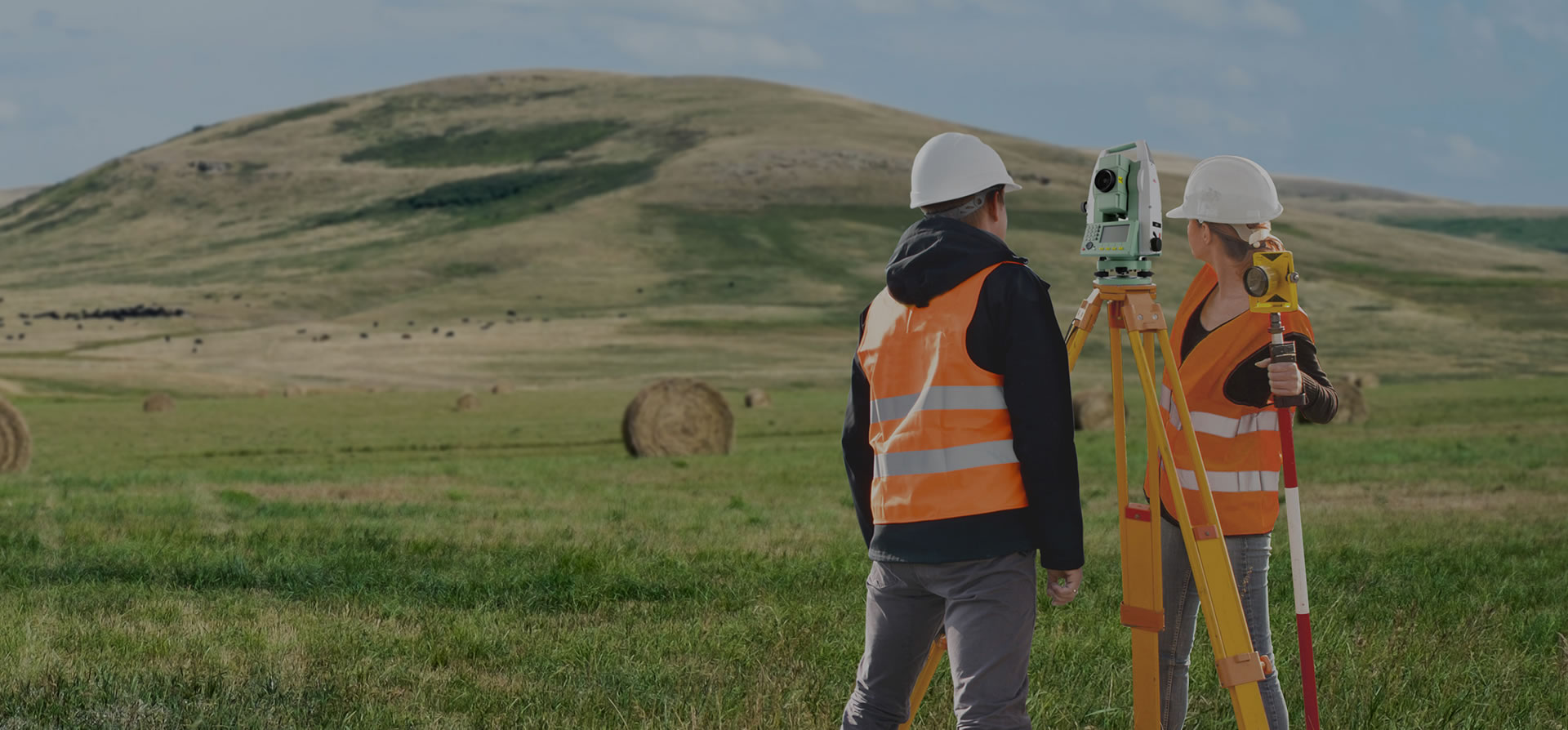 Portfolio Toposerra Header